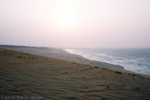 Tottori dunes, Tottori