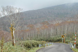 Shinmi Pass