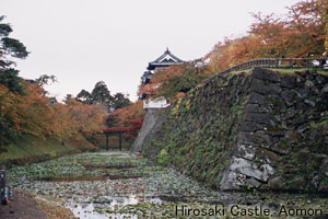 Hirosaki Castle, Aomori