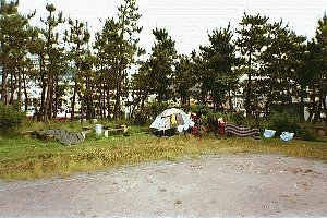 camping:sabo